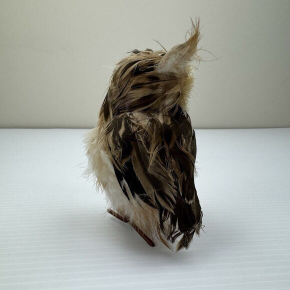 OWL Decor Beige Brown FEATHERS Free Standing HOME DECOR Bird - Picture 5 of 9